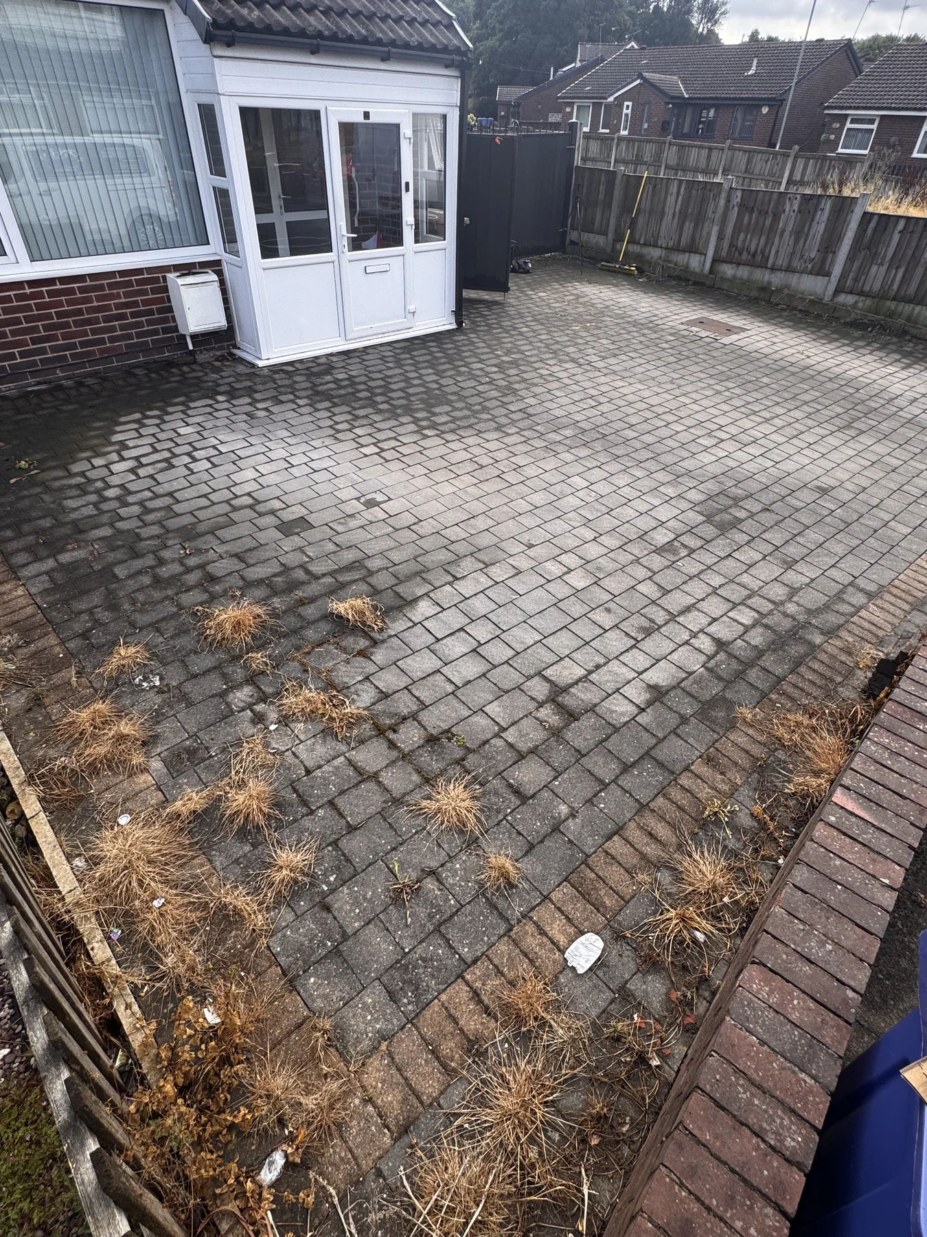 Weed-covered paved courtyard before professional cleaning
