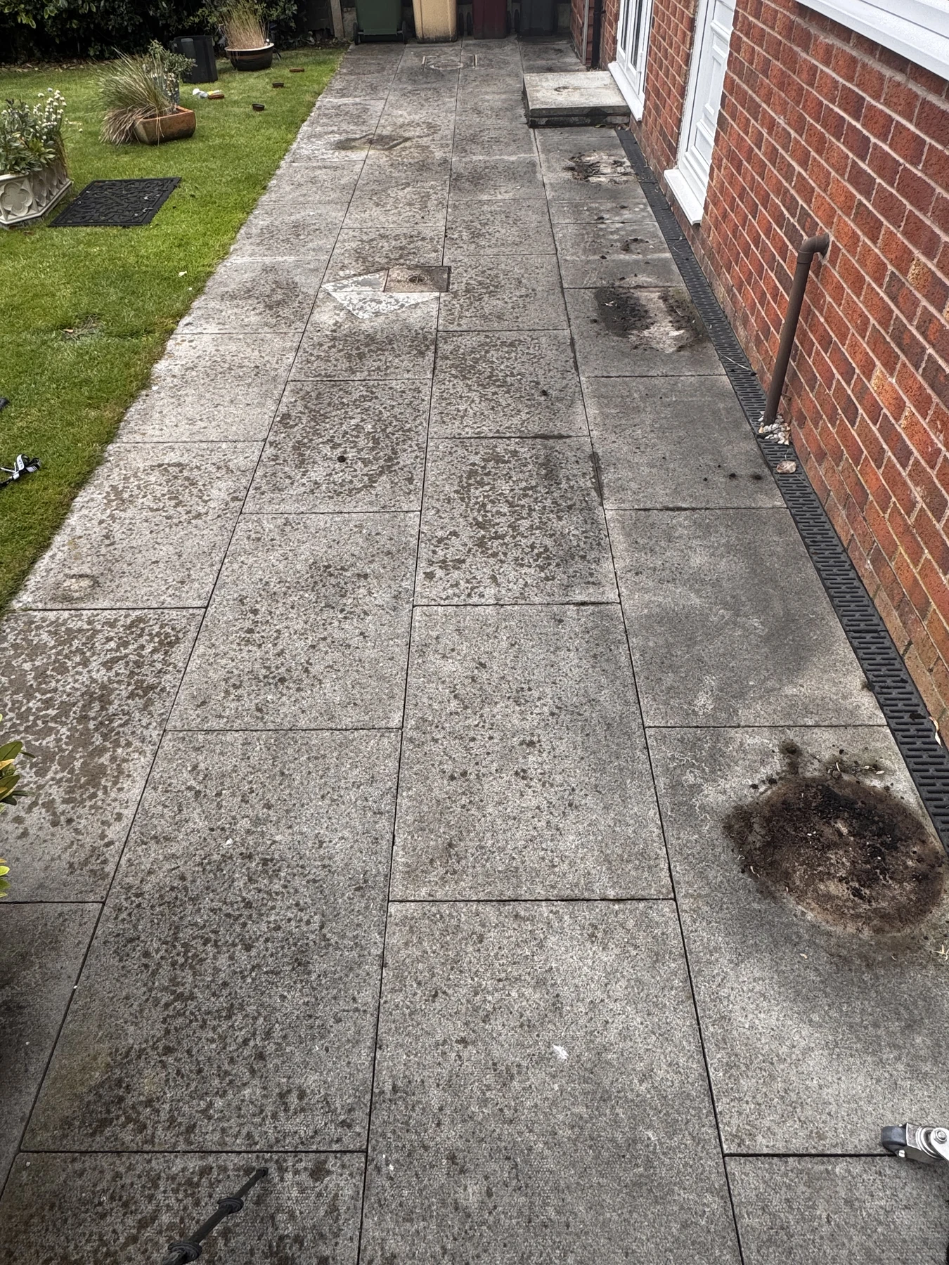 Algae-stained patio before professional pressure washing