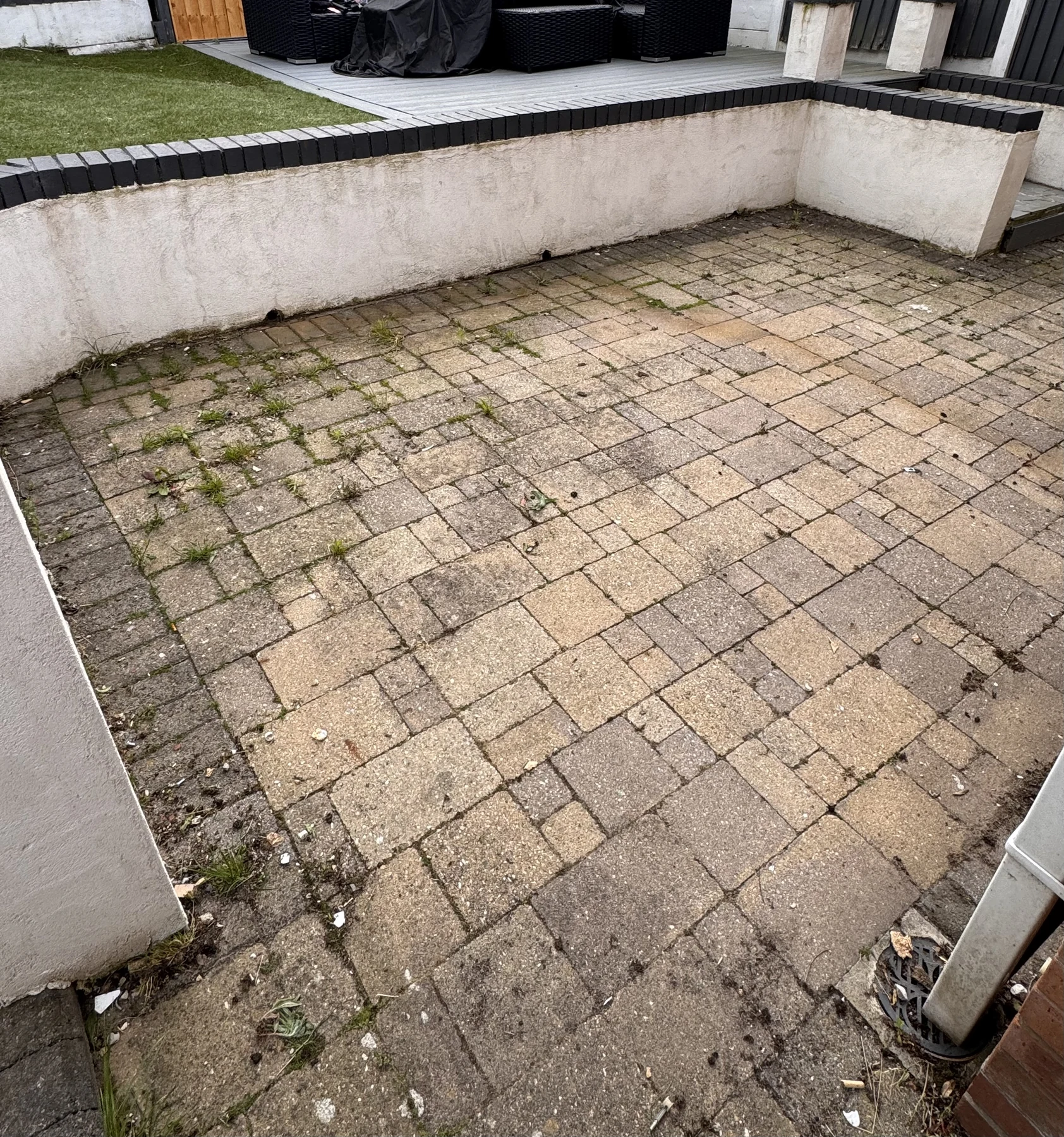 Weed-filled paved patio before professional cleaning