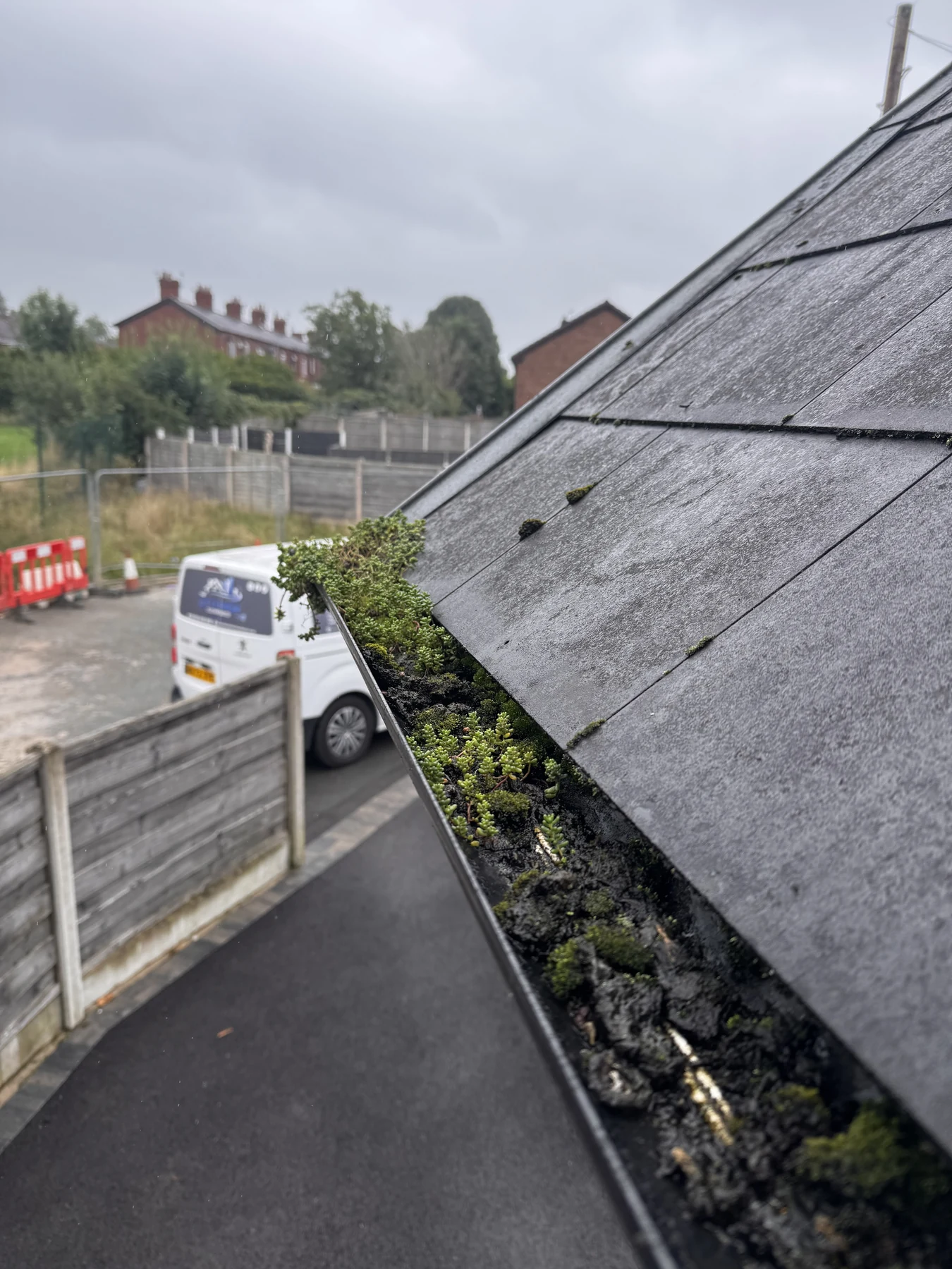 Gutter and roof edge full of moss and vegetation before clearance