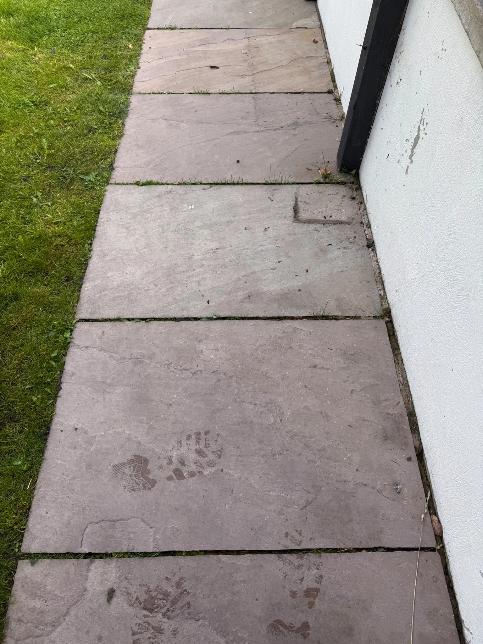 Stone side path beside a lawn before professional cleaning